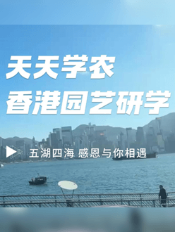 与香港园艺学会联合举办香港园艺研学，专业园境师带队讲解。