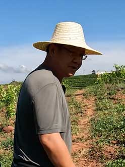 农业人叶涛，50多岁通讯人跨界搞农业，他要用1000万打造一个梦。